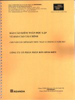 Báo cáo tài chính công ty mẹ năm 2013 (đã kiểm toán) - Công ty cổ phần Phân bón Bình Điền