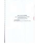 Báo cáo tài chính năm 2012 (đã kiểm toán) - Công ty Cổ phần Khai thác và Chế biến Khoáng sản Bắc Giang