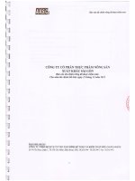 Báo cáo tài chính công ty mẹ năm 2012 (đã kiểm toán) - Công ty cổ phần Thực phẩm Nông sản Xuất khẩu Sài Gòn