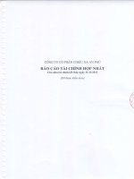 Báo cáo tài chính hợp nhất năm 2012 (đã kiểm toán) - Công ty Cổ phần Chiếu xạ An Phú