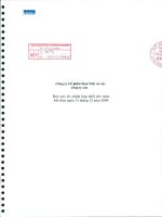 Báo cáo tài chính hợp nhất năm 2009 (đã kiểm toán) - Công ty Cổ phần Nam Việt