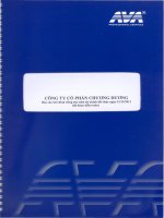 Báo cáo tài chính công ty mẹ năm 2011 (đã kiểm toán) - Công ty Cổ phần Chương Dương