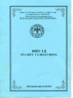 Bản điều lệ - CTCP Xi măng La Hiên VVMI