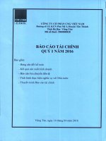 Báo cáo tài chính quý 1 năm 2016 - Công ty cổ phần CNG Việt Nam
