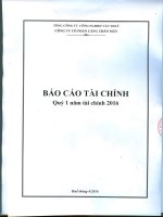 Báo cáo tài chính quý 1 năm 2016 - CTCP Cảng Chân Mây