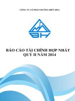 Báo cáo tài chính hợp nhất quý 2 năm 2014 - Công ty Cổ phần Đường Biên Hoà