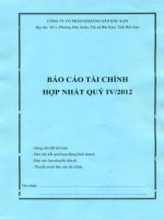Báo cáo tài chính hợp nhất quý 4 năm 2012 - Công ty Cổ phần Khoáng sản Bắc Kạn