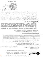 Báo cáo tài chính quý 1 năm 2016 - CTCP Sản xuất Kinh doanh Dược và Trang thiết bị Y tế Việt Mỹ