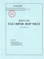 Báo cáo tài chính hợp nhất quý 1 năm 2011 - Công ty Cổ phần Đầu tư Alphanam