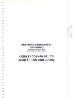 Báo cáo tài chính hợp nhất quý 2 năm 2013 (đã soát xét) - Công ty Cổ phần Đầu tư Châu Á - Thái Bình Dương