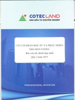Báo cáo tài chính hợp nhất quý 2 năm 2015 - Công ty Cổ phần Đầu tư và Phát triển Nhà đất COTEC