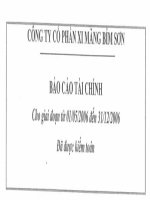 Báo cáo tài chính năm 2006 (đã kiểm toán) - Công ty Cổ phần Xi măng Bỉm Sơn