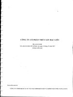 Báo cáo tài chính năm 2015 (đã kiểm toán) - Công ty Cổ phần Thủy sản Bạc Liêu