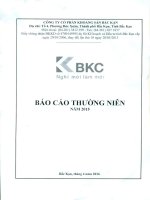 Báo cáo thường niên năm 2015 - Công ty Cổ phần Khoáng sản Bắc Kạn