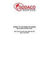 Báo cáo tài chính hợp nhất quý 2 năm 2013 (đã soát xét) - Công ty Cổ phần Gò Đàng