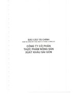 Báo cáo tài chính công ty mẹ năm 2013 (đã kiểm toán) - Công ty cổ phần Thực phẩm Nông sản Xuất khẩu Sài Gòn