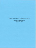 Báo cáo tài chính công ty mẹ quý 3 năm 2015 - Công ty cổ phần Bamboo Capital