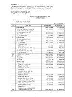 Báo cáo tài chính quý 2 năm 2009 - Công ty cổ phần VICEM Bao bì Bút Sơn