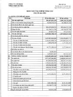 Báo cáo tài chính quý 3 năm 2008 - Công ty Cổ phần Nhiệt điện Bà Rịa