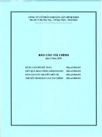 Báo cáo tài chính quý 2 năm 2015 - Công ty cổ phần Khoáng sản Bình Định