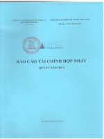 Báo cáo tài chính hợp nhất quý 4 năm 2014 - Công ty Cổ phần Đầu tư Châu Á - Thái Bình Dương