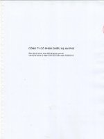 Báo cáo tài chính hợp nhất quý 2 năm 2015 (đã soát xét) - Công ty Cổ phần Chiếu xạ An Phú