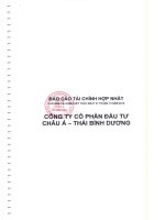 Báo cáo tài chính hợp nhất năm 2012 (đã kiểm toán) - Công ty Cổ phần Đầu tư Châu Á - Thái Bình Dương