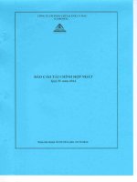 Báo cáo tài chính hợp nhất quý 4 năm 2014 - Công ty Cổ phần Chế biến và Xuất nhập khẩu Thuỷ sản Cà Mau