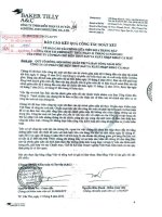 Báo cáo KQKD hợp nhất quý 2 năm 2012 (đã soát xét) - Công ty Cổ phần Chế biến và Xuất nhập khẩu Thuỷ sản Cà Mau