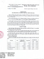 Nghị quyết Đại hội cổ đông thường niên - Công ty cổ phần Vicem Bao bì Bỉm Sơn