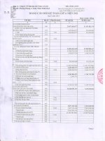 Báo cáo tài chính quý 2 năm 2014 - Công ty Cổ phần Khoáng sản Vinas A Lưới