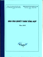 Báo cáo tài chính năm 2013 (đã kiểm toán) - Công ty Cổ phần Cảng Nha Trang