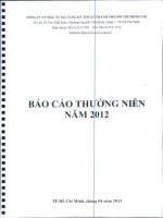 Báo cáo thường niên năm 2012 - Công ty cổ phần Đầu tư Hạ tầng Kỹ thuật T.P Hồ Chí Minh