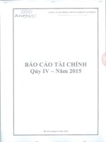 Báo cáo tài chính quý 4 năm 2015 - Công ty Cổ phần Chứng khoán An Phát