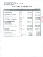 Báo cáo tài chính hợp nhất quý 1 năm 2012 - Công ty Cổ phần Đầu tư Alphanam