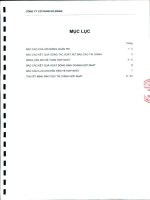 Báo cáo tài chính hợp nhất quý 2 năm 2011 (đã soát xét) - Công ty Cổ phần Gò Đàng