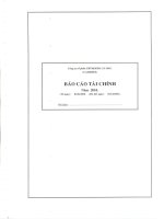 Báo cáo tài chính quý 4 năm 2010 - Công ty Cổ phần Chế biến và Xuất nhập khẩu Thuỷ sản Cà Mau