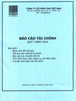 Báo cáo tài chính quý 1 năm 2014 - Công ty cổ phần CNG Việt Nam