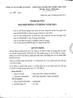 Nghị quyết Đại hội cổ đông thường niên năm 2011 - Công ty Cổ phần Cà phê An Giang