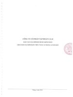 Báo cáo tài chính công ty mẹ năm 2015 (đã kiểm toán) - Công ty Cổ phần Tập đoàn C.E.O