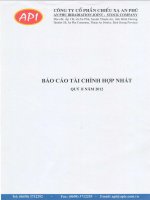 Báo cáo tài chính hợp nhất quý 2 năm 2012 - Công ty Cổ phần Chiếu xạ An Phú