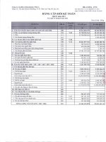 Báo cáo tài chính quý 1 năm 2013 - Công ty Cổ phần Chứng khoán ASC