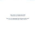 Báo cáo tài chính hợp nhất năm 2013 (đã kiểm toán) - Tổng Công ty Cổ phần Bảo Minh