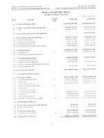 Báo cáo tài chính quý 1 năm 2010 - Công ty cổ phần Xi măng Vicem Bút Sơn