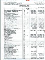 Báo cáo tài chính hợp nhất quý 2 năm 2015 - Công ty Cổ phần Xi măng Bỉm Sơn