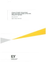 Báo cáo tài chính năm 2015 (đã kiểm toán) - Công ty Cổ phần Chứng khoán Nông nghiệp và Phát triển Nông thôn