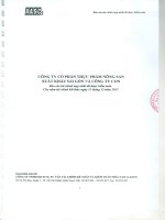 Báo cáo tài chính hợp nhất năm 2012 (đã kiểm toán) - Công ty cổ phần Thực phẩm Nông sản Xuất khẩu Sài Gòn