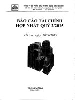 Báo cáo tài chính hợp nhất quý 2 năm 2015 - Công ty Cổ phần Đầu tư Xây dựng Bình Chánh