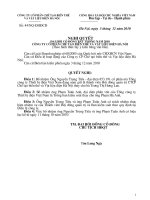 Nghị quyết Đại hội cổ đông bất thường ngày 03-12-2010 - Công ty Cổ phần Chế tạo Biến thế và Vật liệu điện Hà Nội