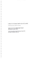 Báo cáo tài chính hợp nhất quý 2 năm 2013 (đã soát xét) - Công ty Cổ phần Thủy Sản Cửu Long